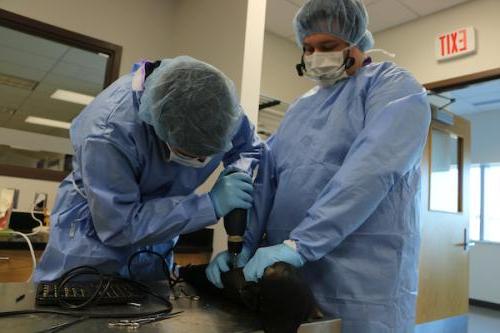 Bioengineering students work on a prosthetic leg.